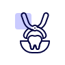 Outline of dental forceps extracting a tooth, representing a tooth extraction procedure.